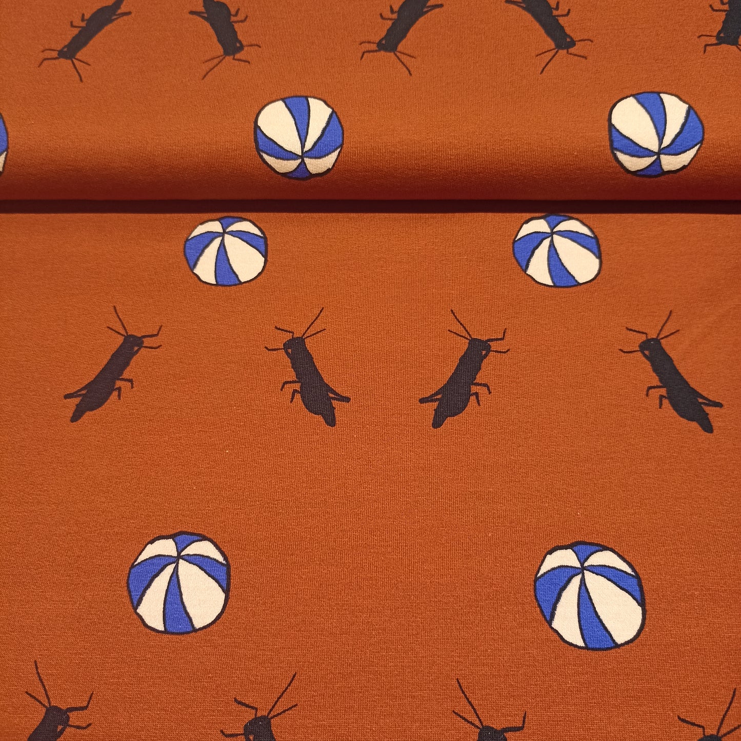 Le loup art krekels met strandbal