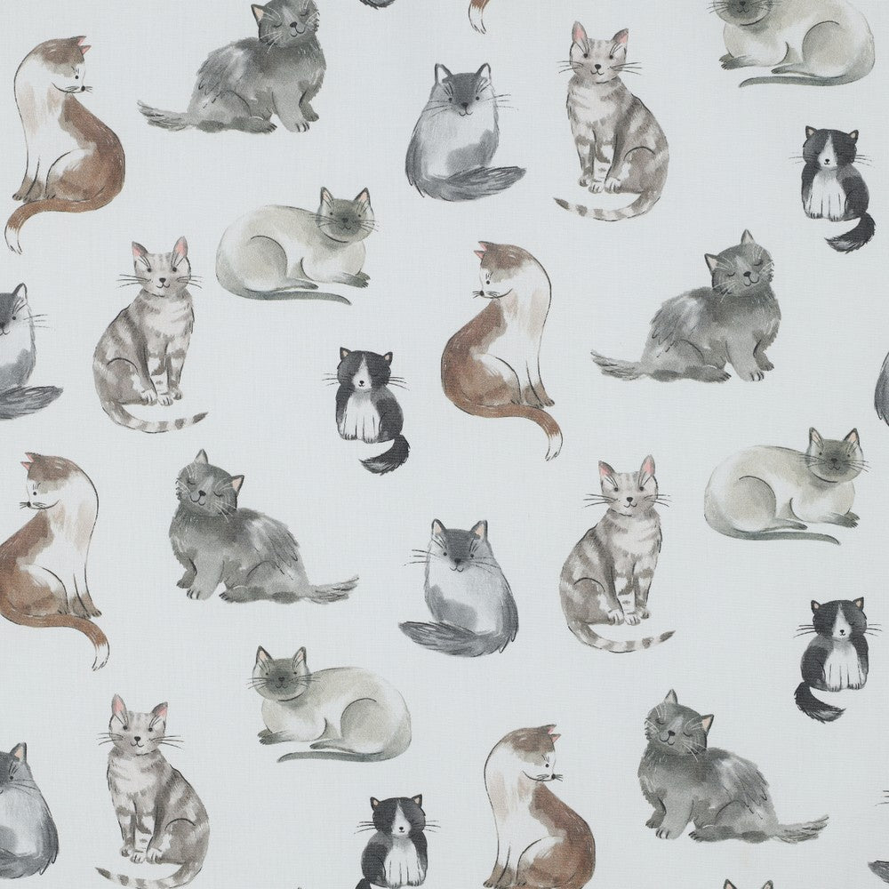 katoen katten