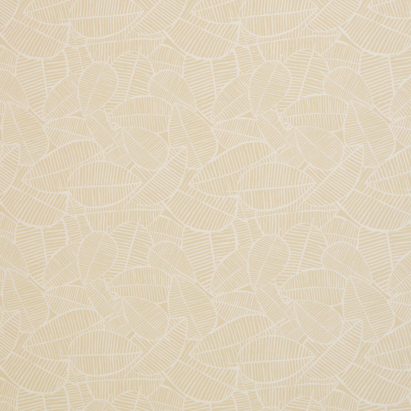 canvas bladeren ecru