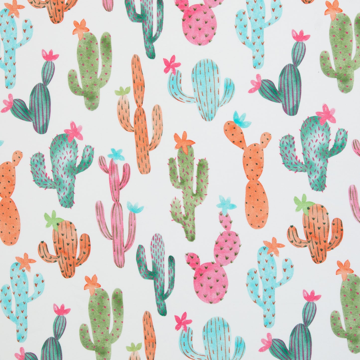 cactus cuties by hip som hap