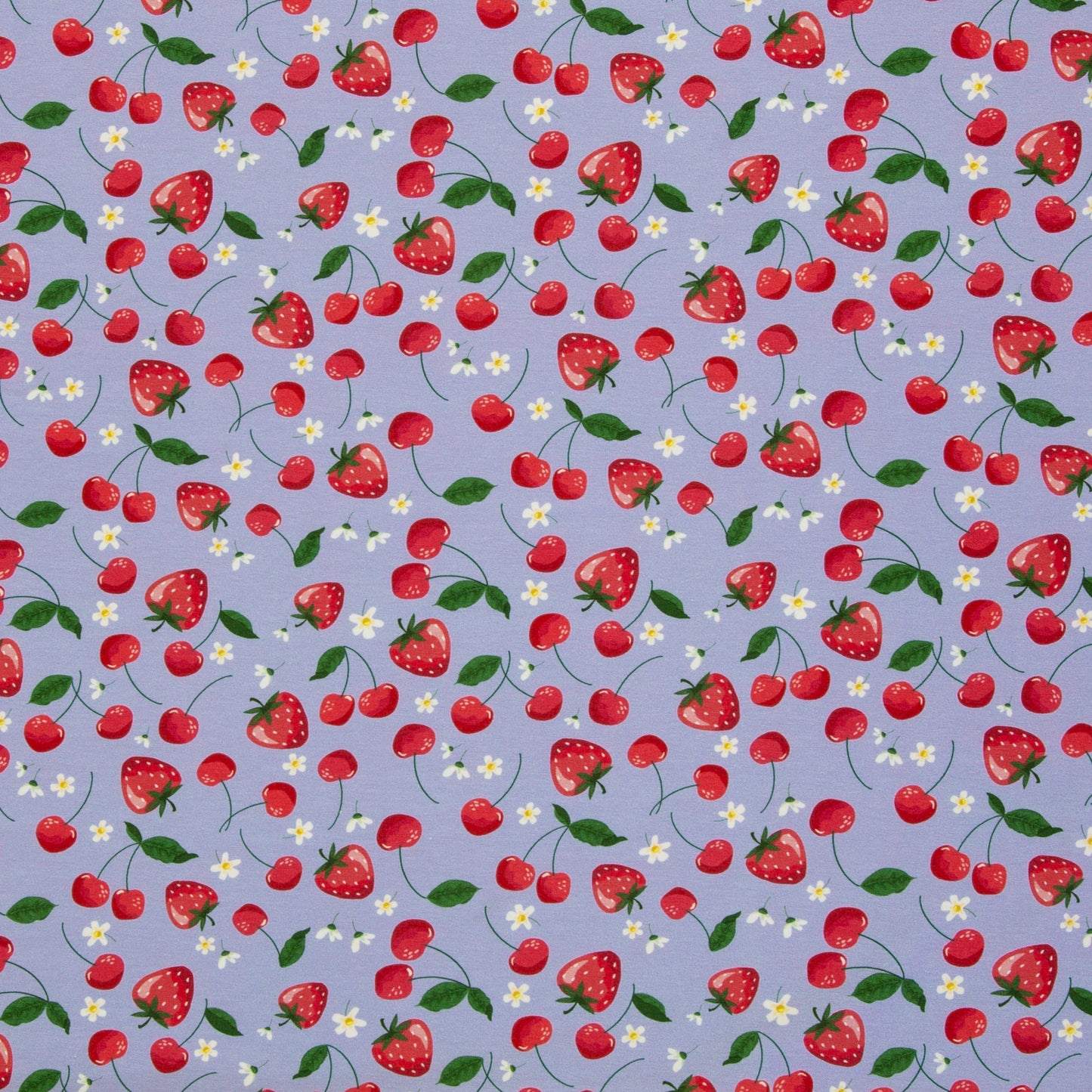 tricot rood fruit op lila achtergrond